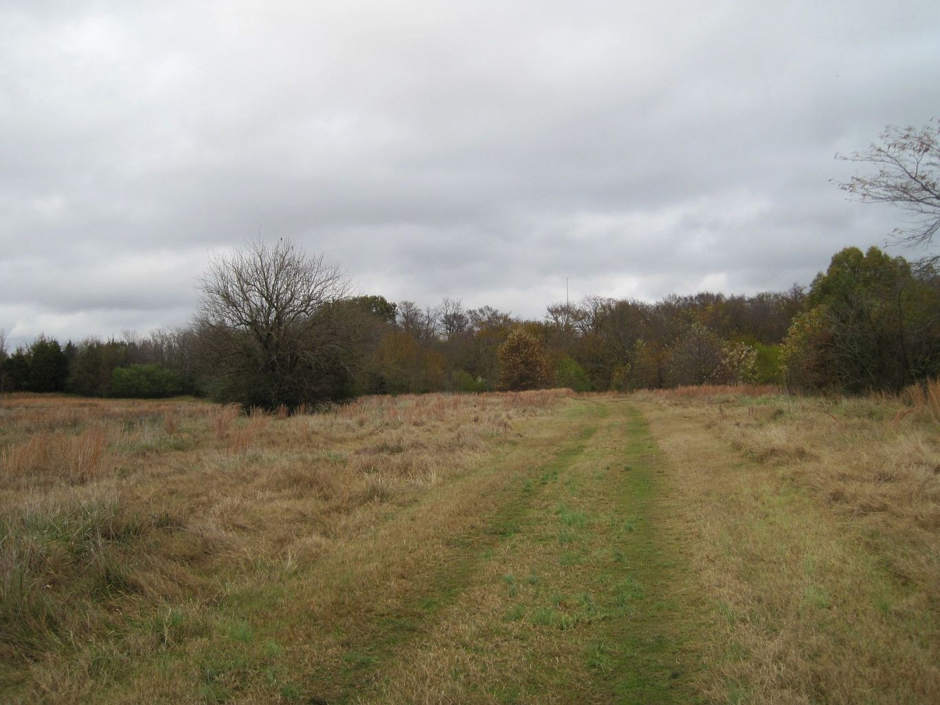 Shelby Farms Park in Memphis, Tennessee