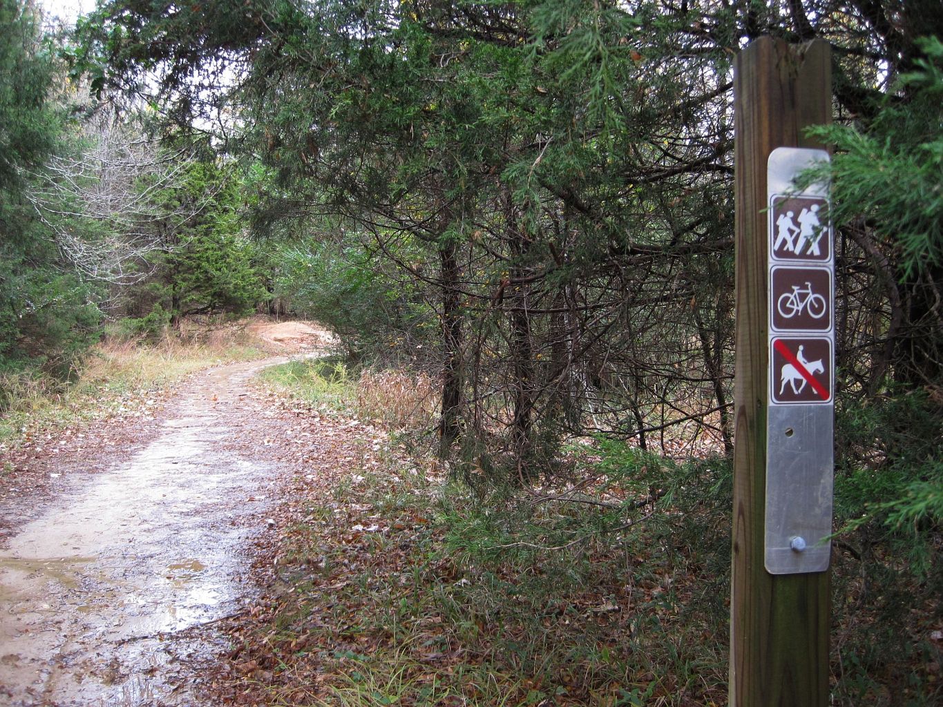 Shelby Farms Park in Memphis, Tennessee