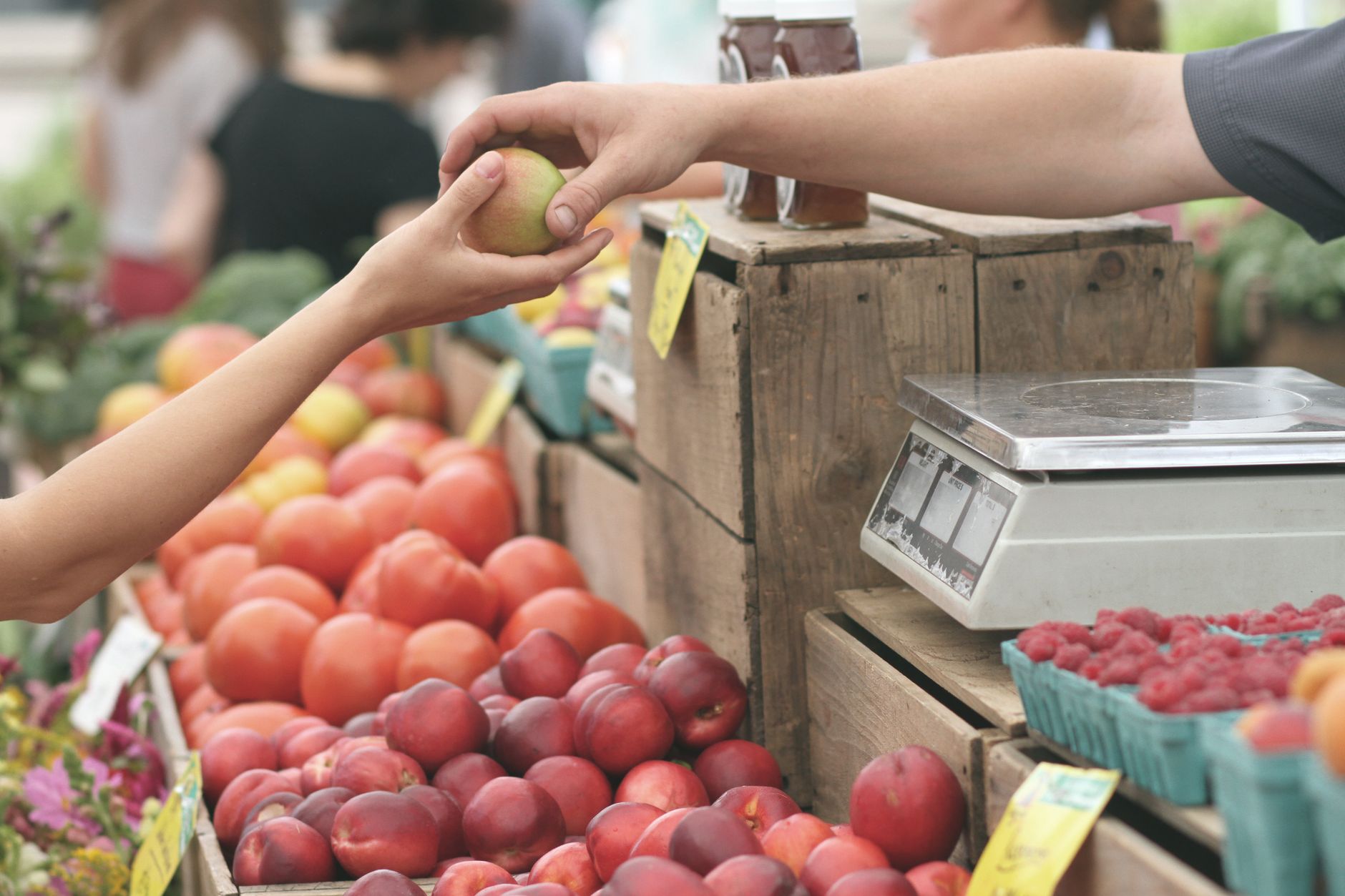 A customer exchanges an apple with a vendor at a vibrant farmers market