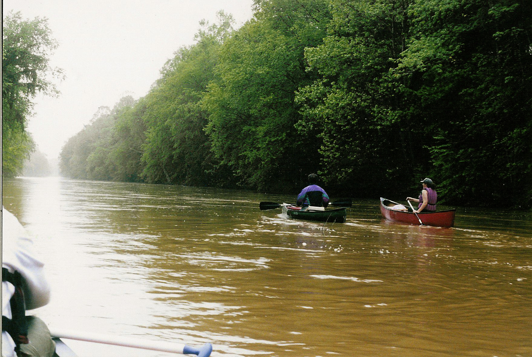 The Wolf River at Germantown, Tennessee